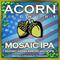 Mosaic IPA