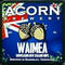 acorn