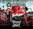 Spider Night
