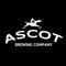 Ascot Brewing