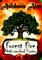 Forest Fire