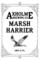 Marsh Harrier