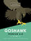 Goshawk