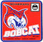 Bob Cat