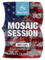 Mosaic Session
