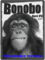 Bonobo