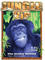 Jungle VIP
