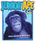 Junior Ape
