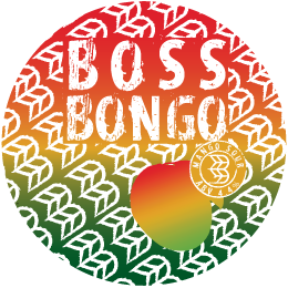 Bongo