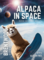 Alpaca in Space