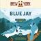 Blue Jay
