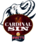 Cardinal Sin