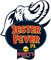View Entry Jester Fever