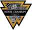 Horse Cranium