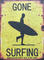 Gone Surfing