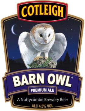 Barn Owl