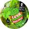 Lush