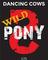 Wild Pony