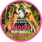Mad Fox
