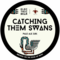 Catching them Swans