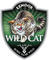 Wild Cat