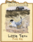 Little Tern