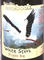 White Stork