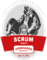 Scrum Diggity