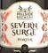 Severn Surge