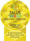 Talus Smash