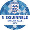 3 Squirrels