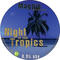 Night in the Tropics