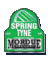Spring Tyne