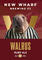 Walrus