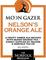 Nelson's Orange Ale