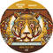New Delhi Dazzler