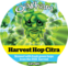 Harvest Hop Citra