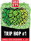 Trip Hop