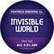 Invisable World