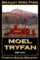 Moel Tryfan