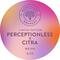 Perceptionless x Citra