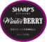 Winter Berry Ale