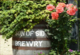 Son of Sid Brewery