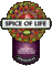 Spice of Life