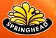 Show Profile springhead