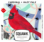 squawk