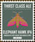 Elephant Hawk IPA