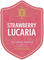Strawberry Lucaria