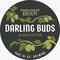 Darling Buds