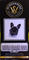 Little Black Dog